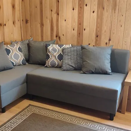 Uroczy Drewniany W Charzykowach Hébergement de vacances *