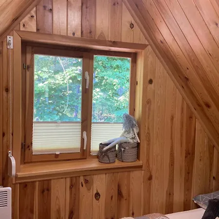 Uroczy Drewniany W Charzykowach Hébergement de vacances *