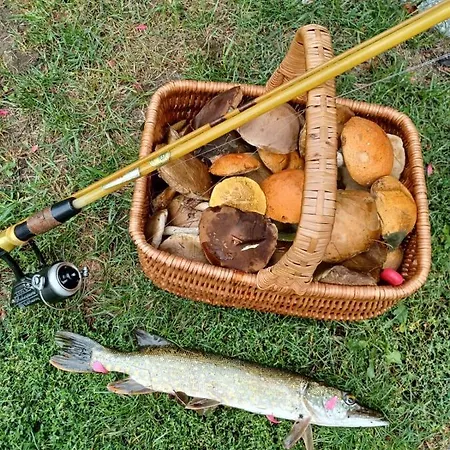 Hébergement de vacances Uroczy Drewniany W Charzykowach