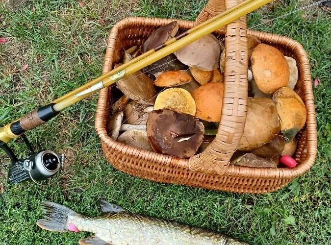 Nyaraló Uroczy Drewniany W Charzykowach