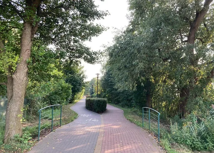 Uroczy Drewniany W Charzykowach Nyaraló *